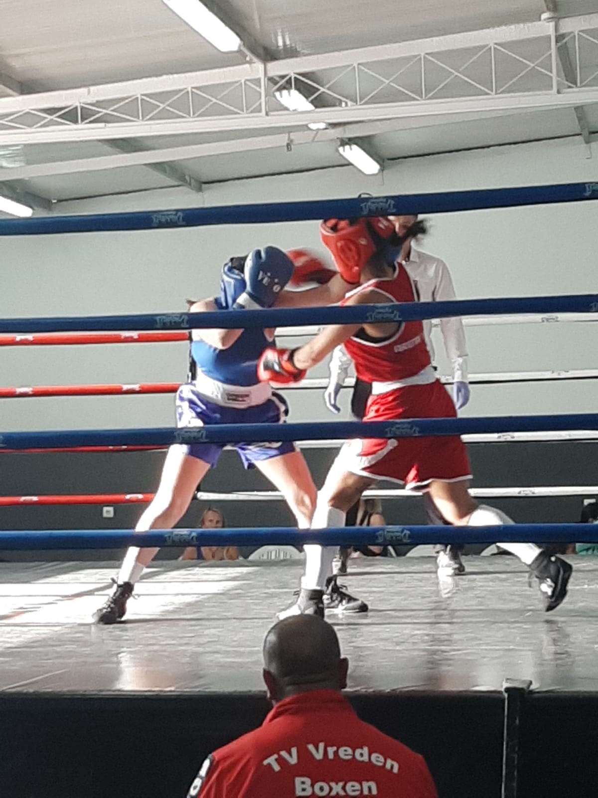 Boxclub Warendorf E V